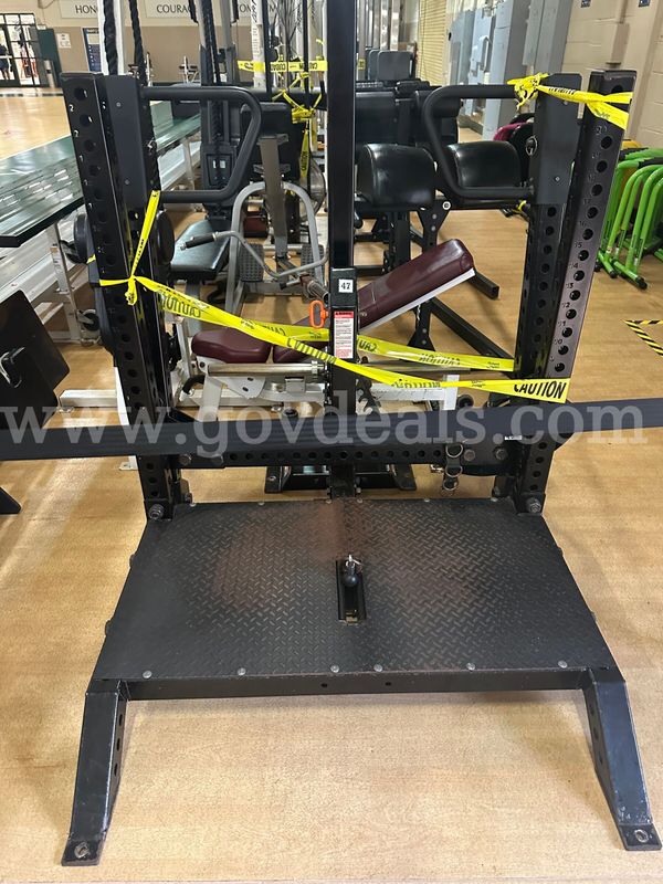 Rogue Monster Rhino Belt Squat