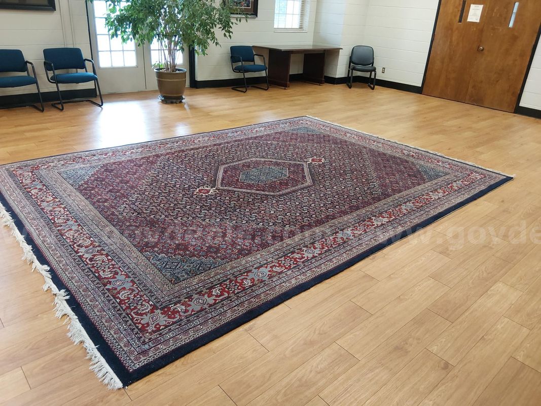 Rug (1 of 3)