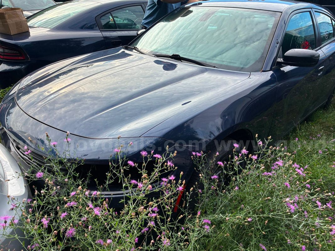 2021 Dodge Charger Police AWD (R1)