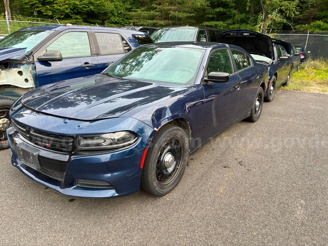 2019 Dodge Charger Police (R1)