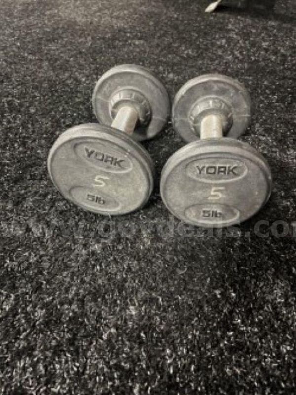 York Rubber DB set – 5 lb