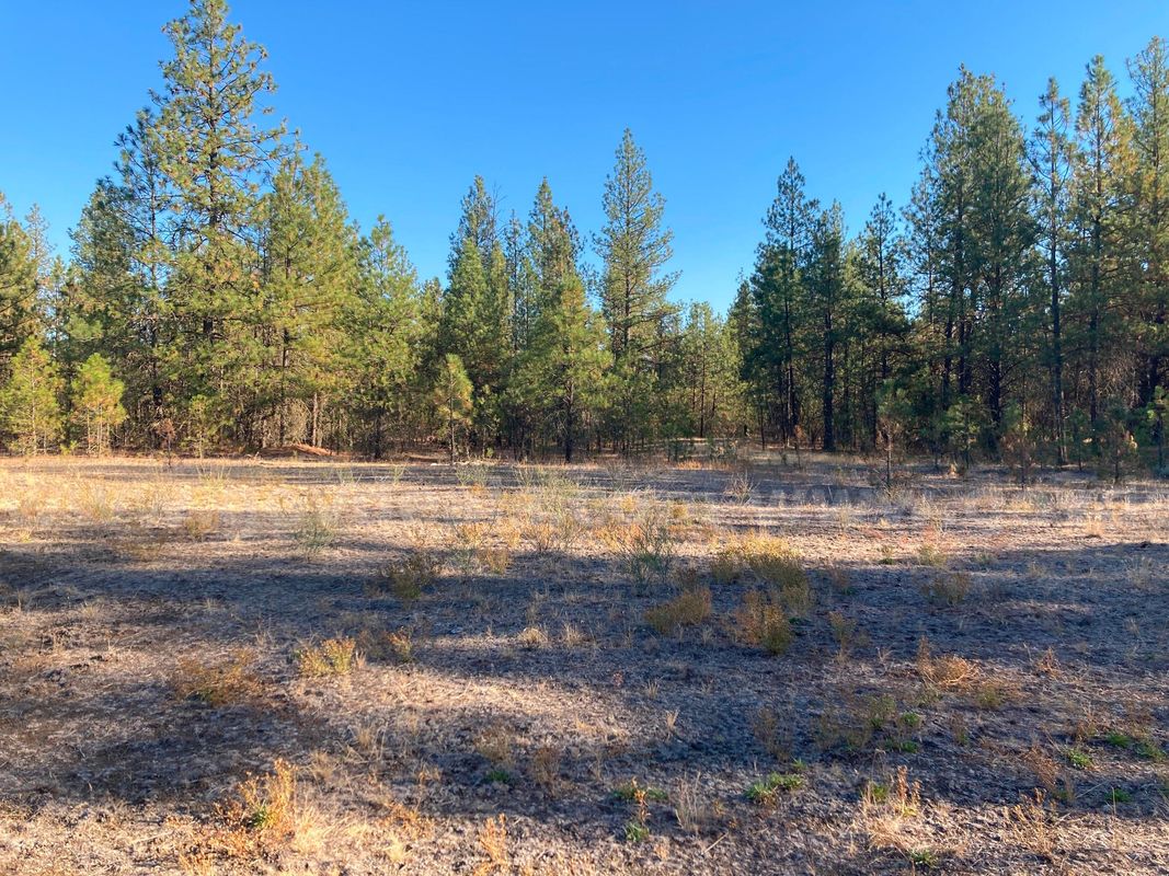 Two Parcels = approximately 11.34 acres - Drumheller Pit