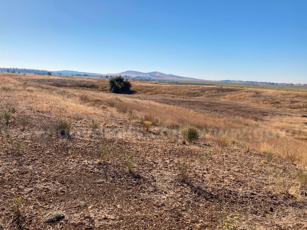 Aproximately 11 acres - McFarland Pit