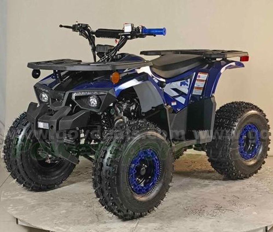 Buy Now 125 cc ATV Shipping included in USA. New Unit