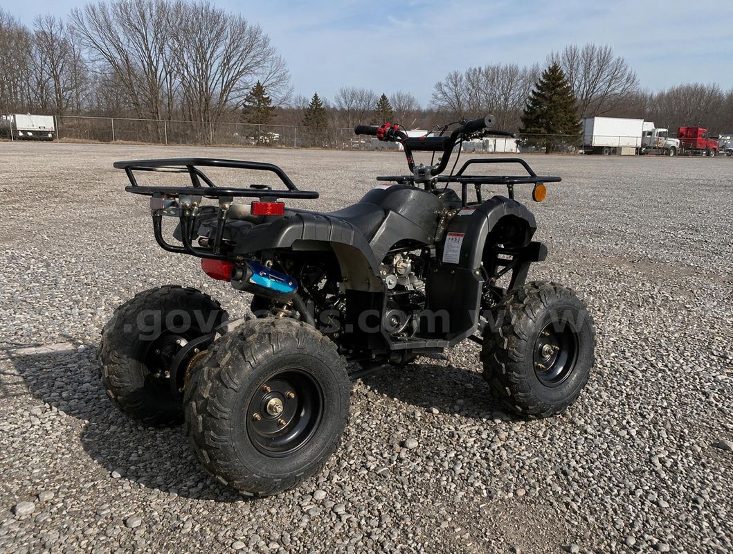 FREE SHIPPING - NEW 2025 - 125cc Utility ATV – Automatic w/ Reverse – Mid-Size Quad