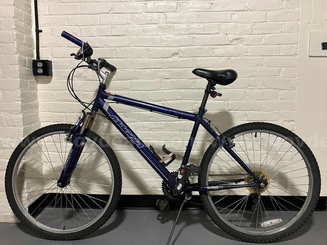 Magna bicycle