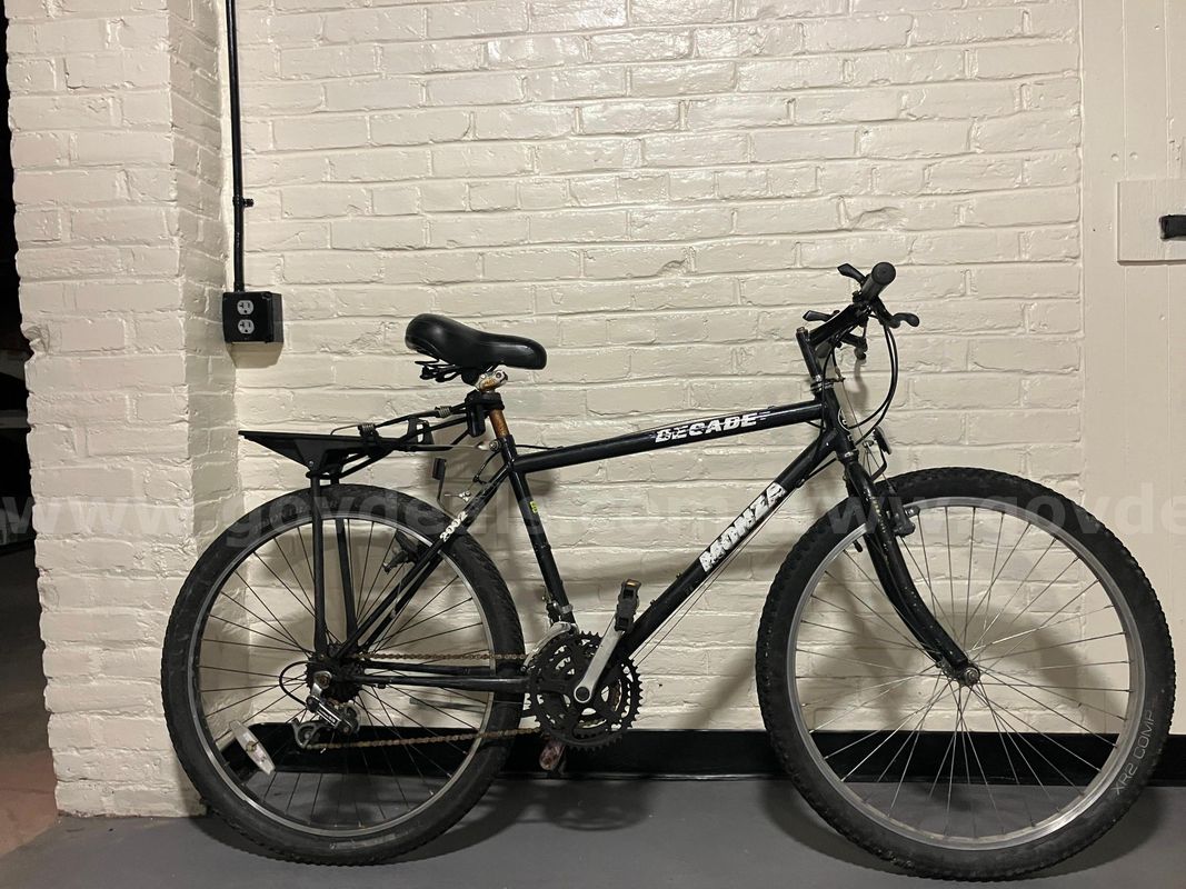 Monza bicycle