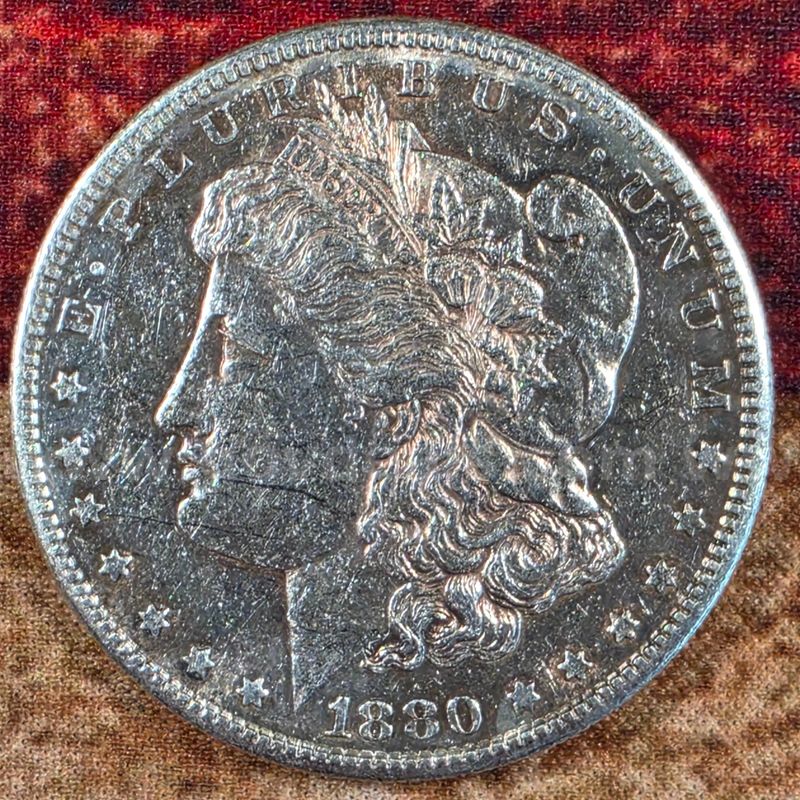 Beautiful Silver Morgan Dollar 1880-S
