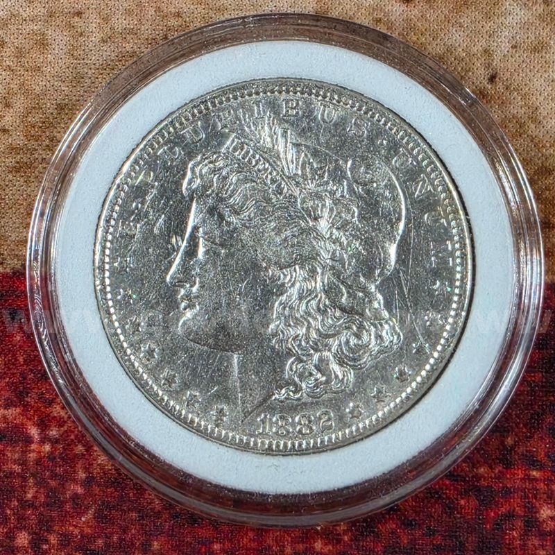 Beautiful Silver Morgan Dollar 1882