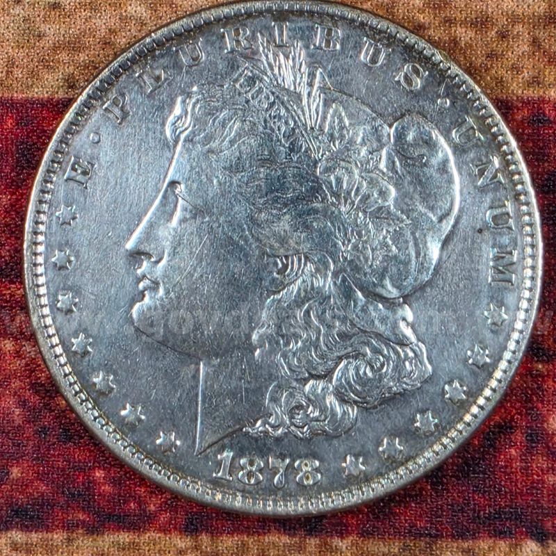 Beautiful Silver Morgan Dollar 1878