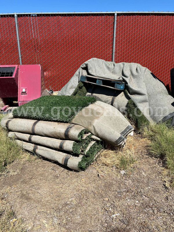 Turf Grass