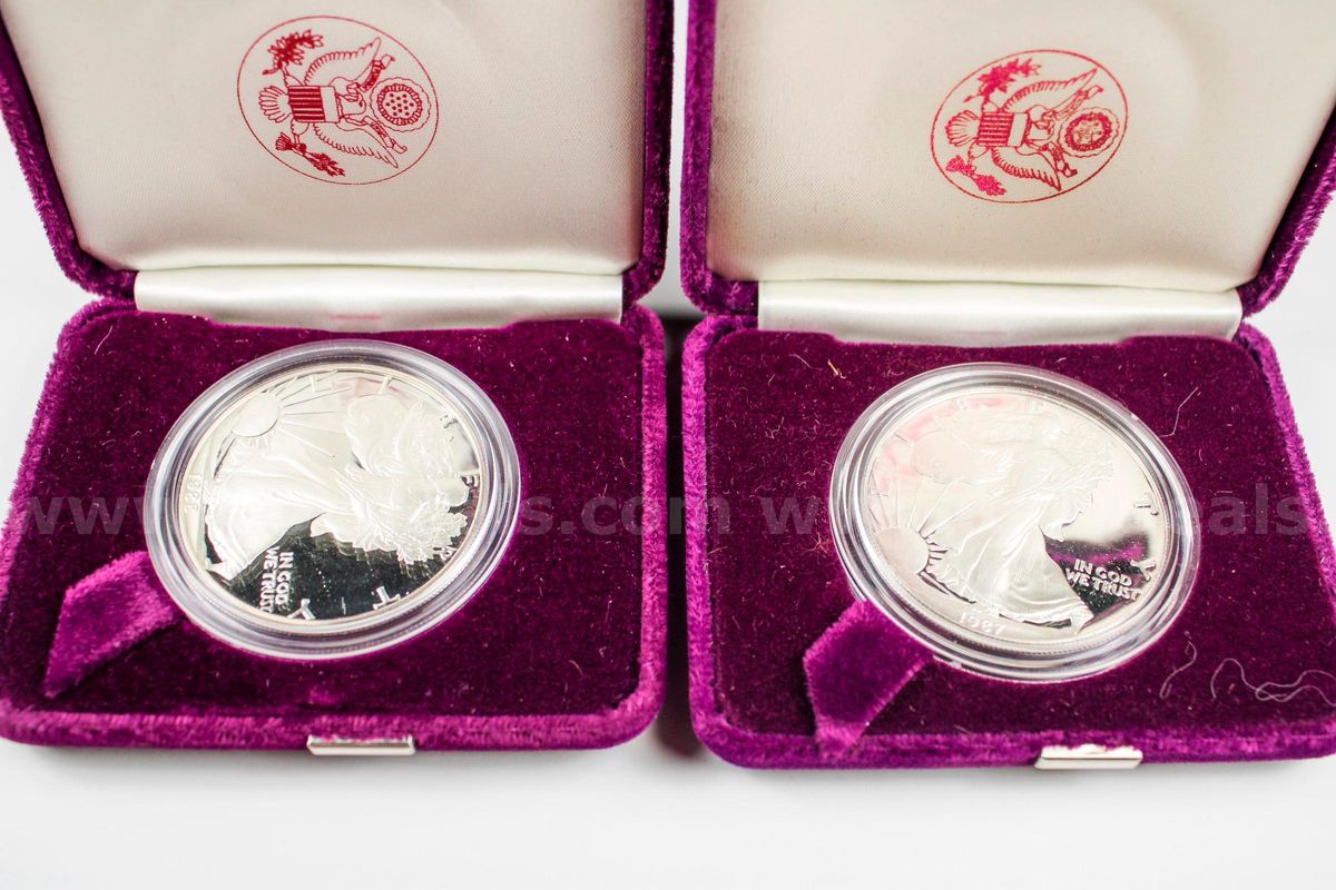 American Silver Eagle Proofs