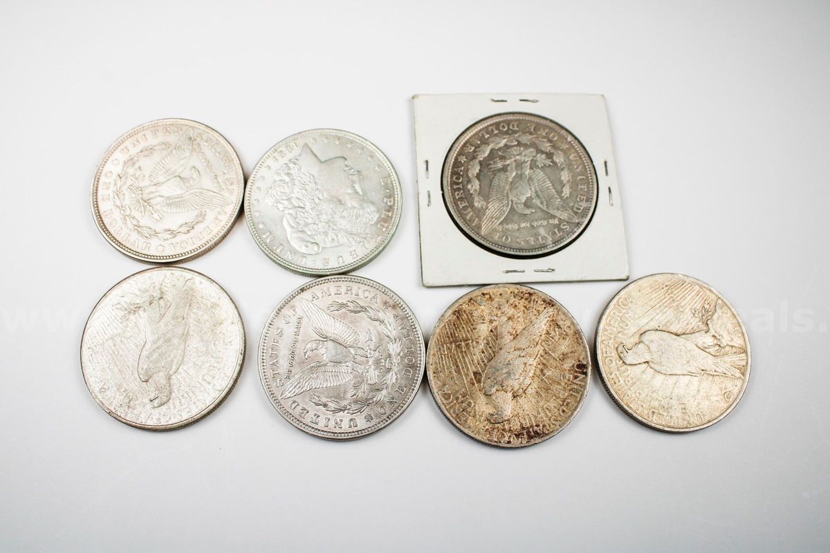 Morgan & Peace Dollar Lot