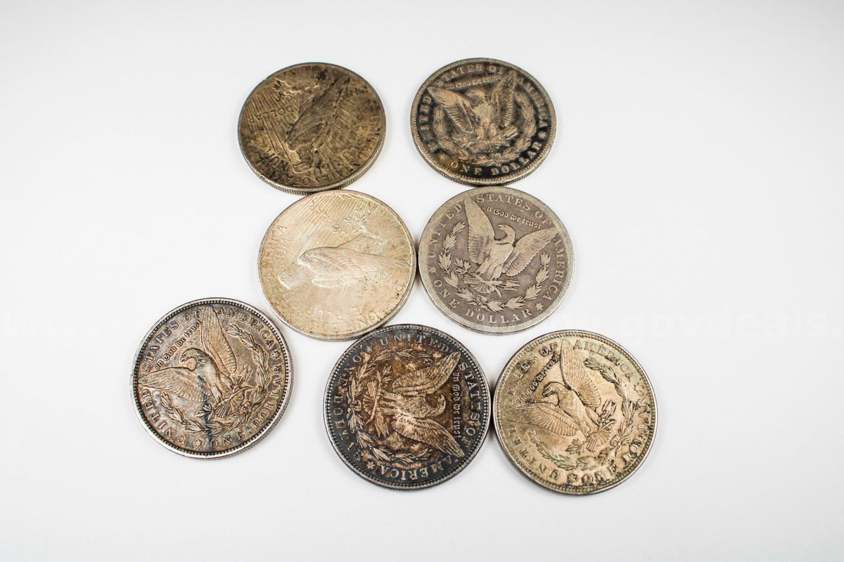 Morgan & Peace Dollar Lot