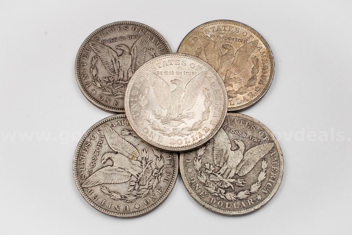 Morgan Dollar Lot