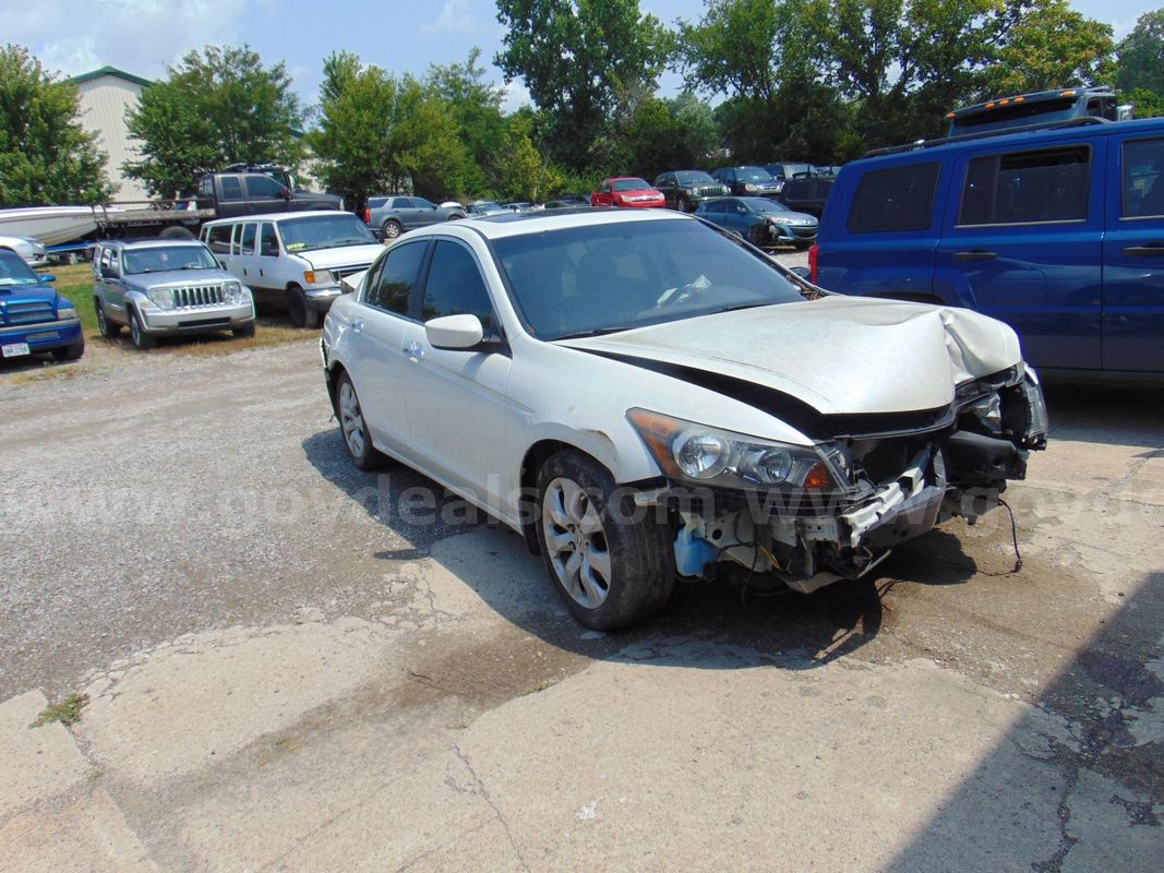 2008 Honda Accord EX-L V-6 Sedan AT