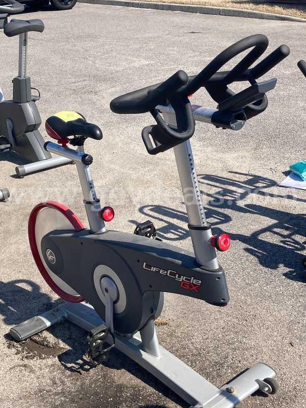 Lot of (11) Life Cycle GX Upright Bikes