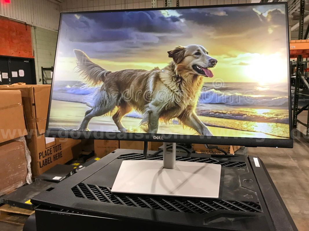 Dell P2424HT 24-Inch Multi-Touch FHD 16:9 IPS Display Monitor with USB-C Hub