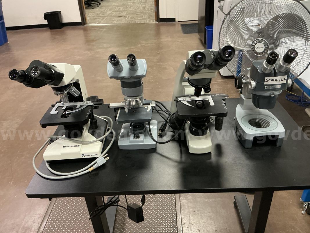 LOT OF MICROSCOPES