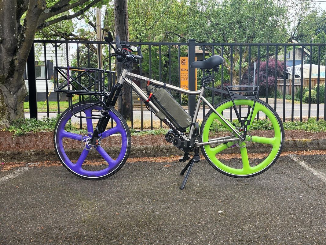 Custom 100% Titanium Cargo E-bike