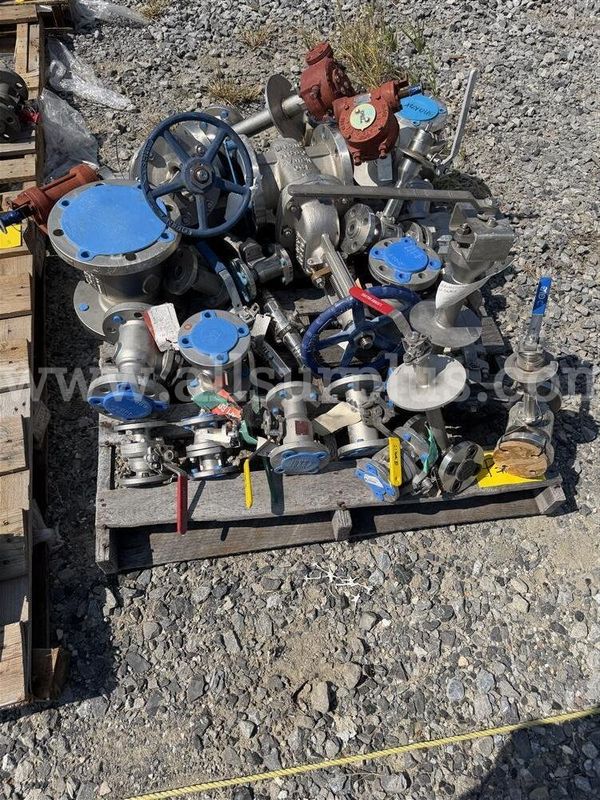 Valves, Gate, Ball, Globe, Butterfly, 3/4in to 6in, CL 150 to 2500, SS, CS, Qty 325