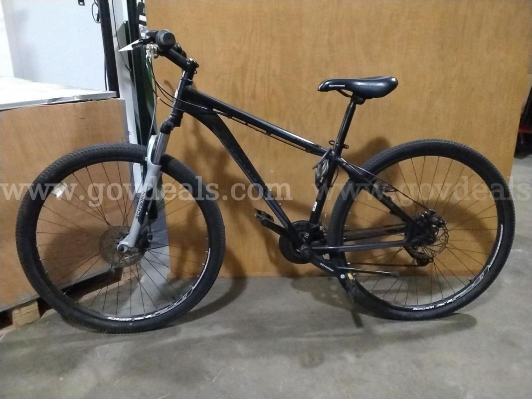 Adult Schwinn Ascension Bike