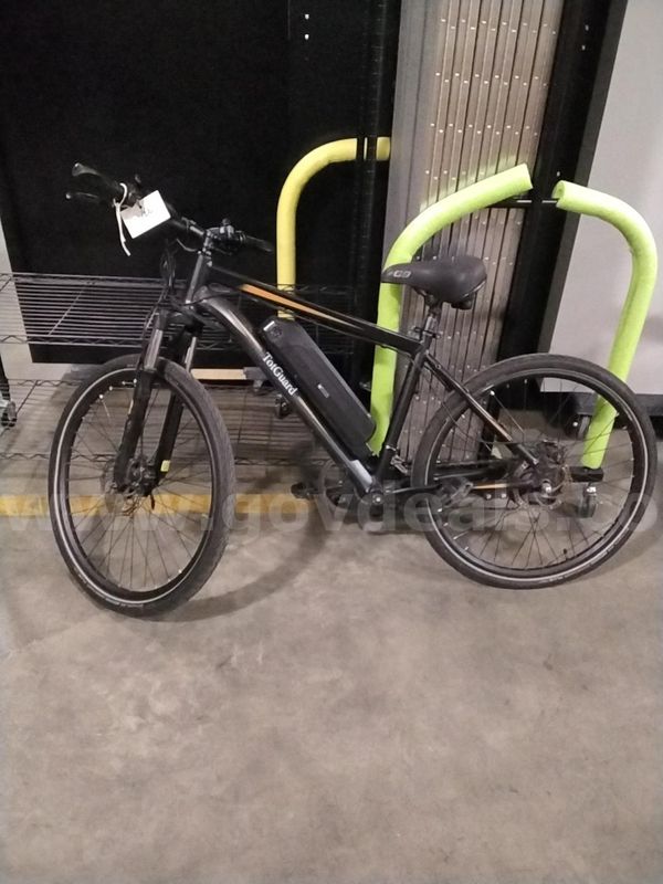 TotGuard Ebike