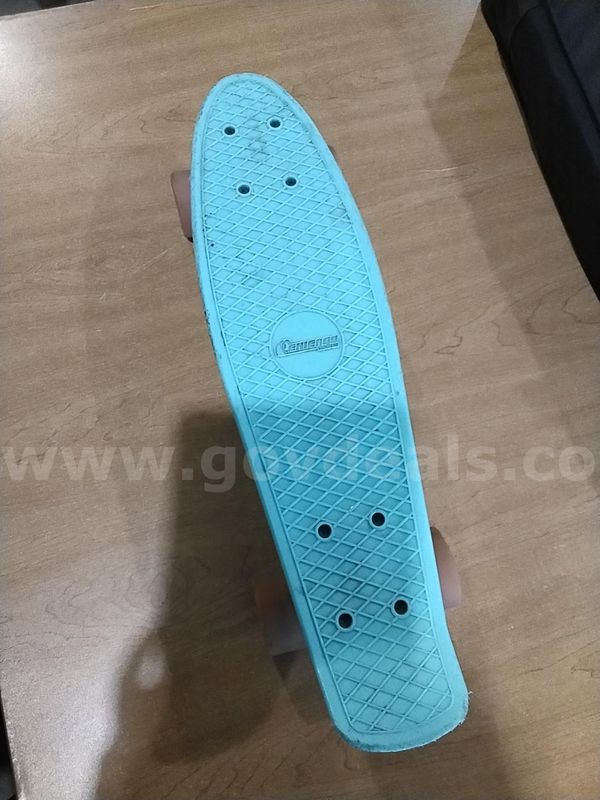 Chicago Skateboard