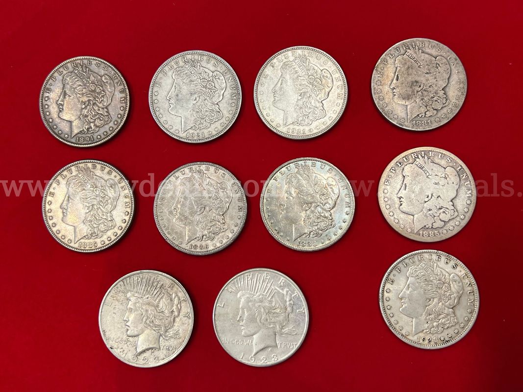 9 U.S. SILVER MORGAN DOLLARS, 2 U.S. SILVER PEACE DOLLARS