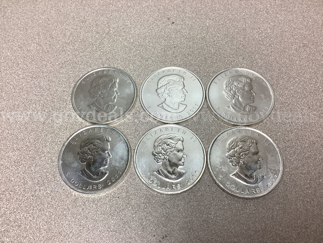 6 Troy ounces of 999.9 Fine Silver ( 6 coins )