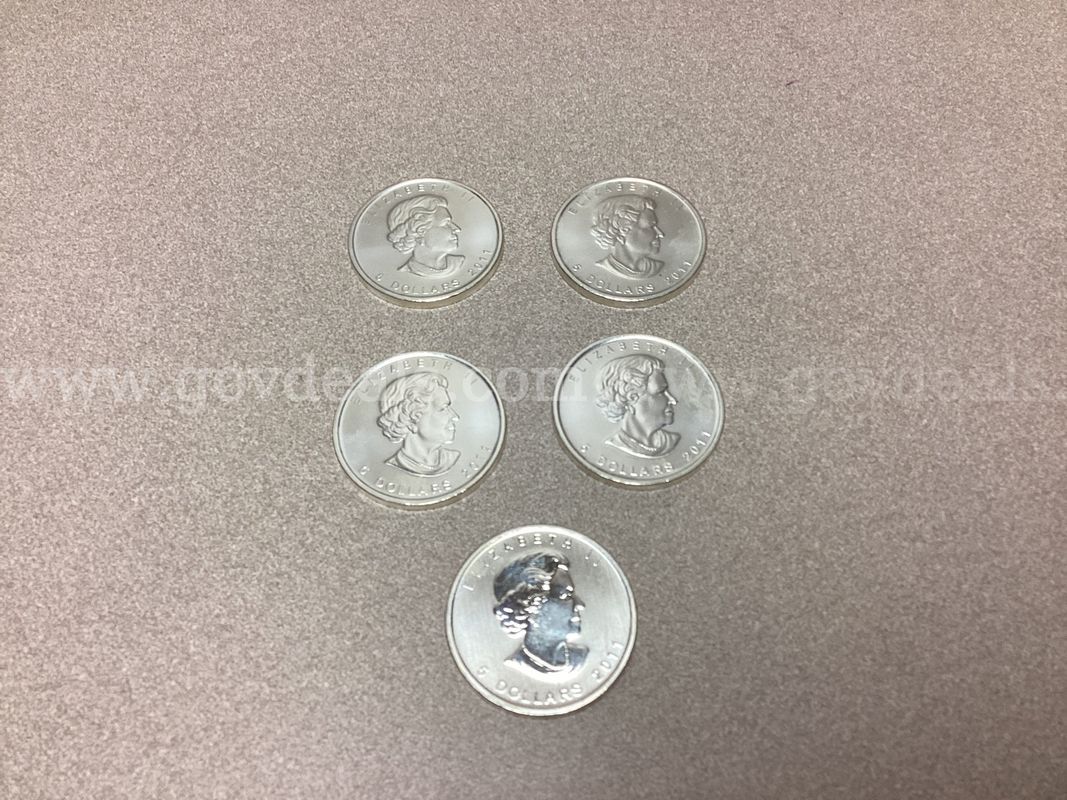 5 Troy ounces of 999.9 Fine Silver ( 5 coins )
