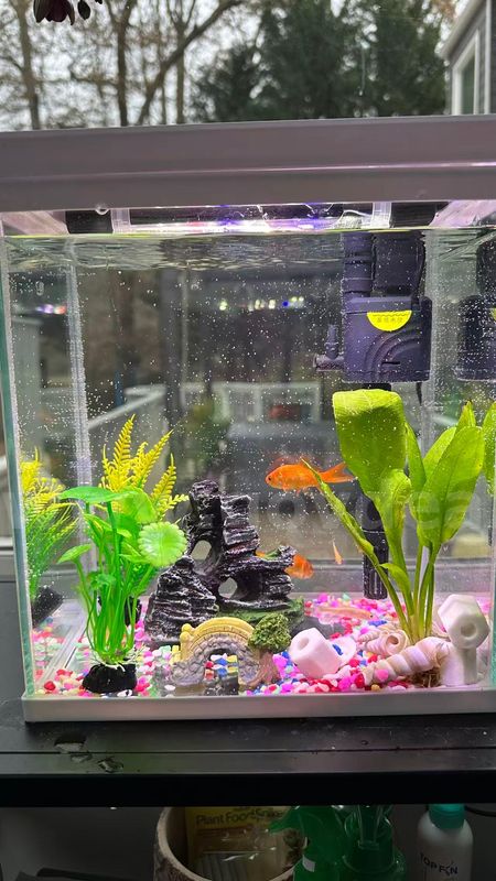 SHIPPING AVAILABLE Glass Fish Tank (W7” × L9” × H10”) Tank Only, Accessories Not Included ( 6-02)