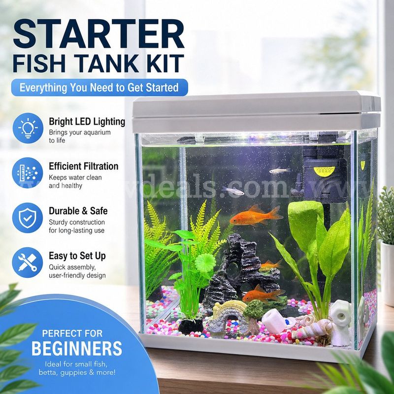 SHIPPING AVAILABLE Glass Fish Tank (W7” × L9” × H10”) –( 6-02) Tank Only, Accessories Not Included