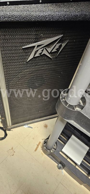 2 Peavey Speakers