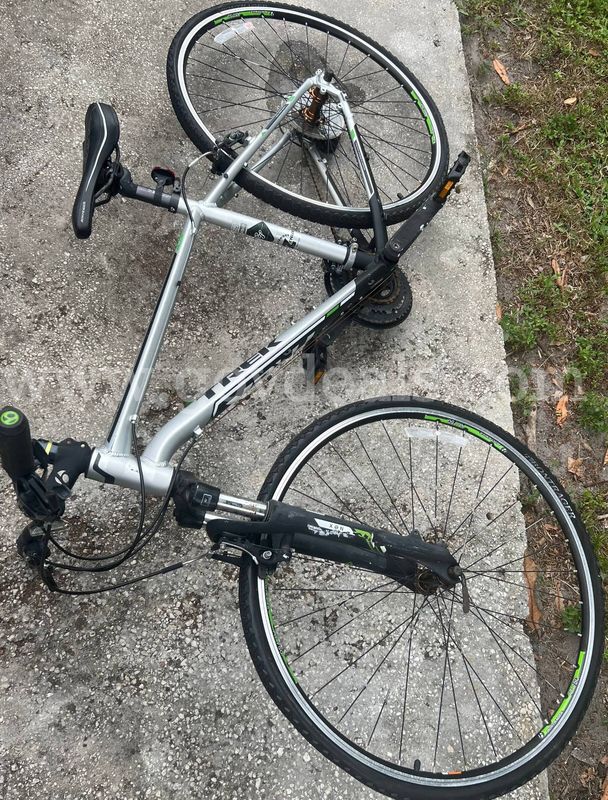 TREK Silver Bicycle