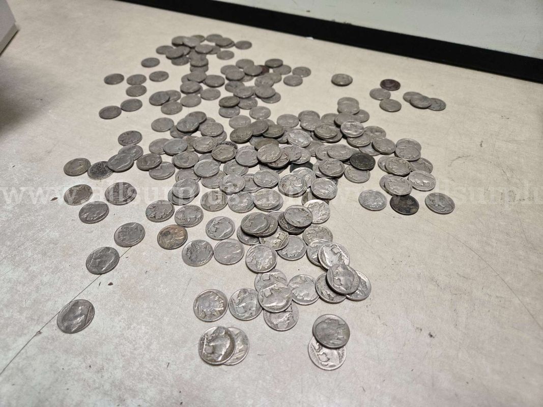 200 Buffalo Nickels!