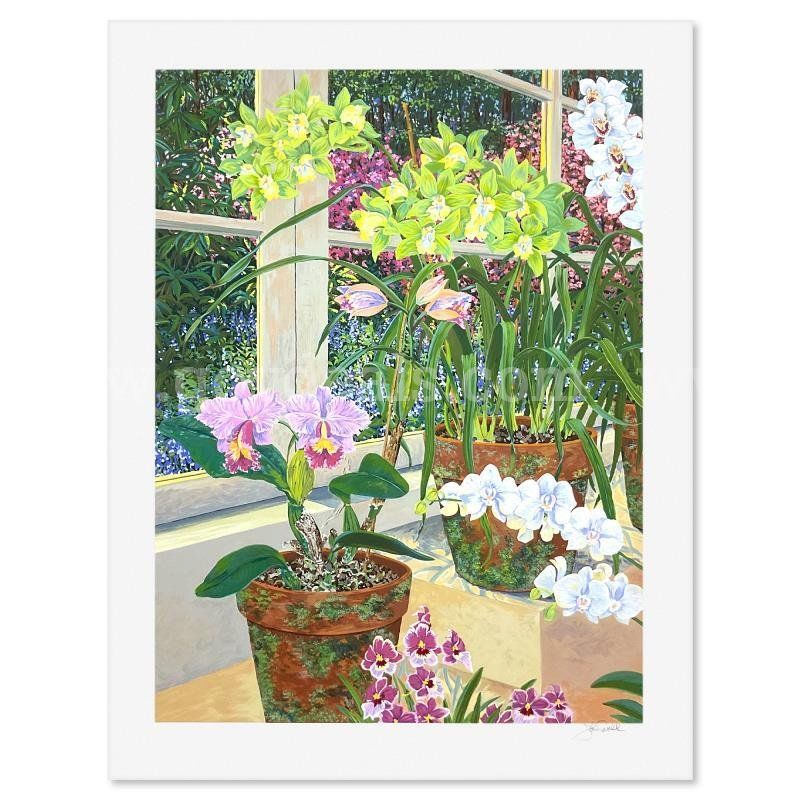John Powell, "Orchids and Sunlight" Limited Edition Fine Art