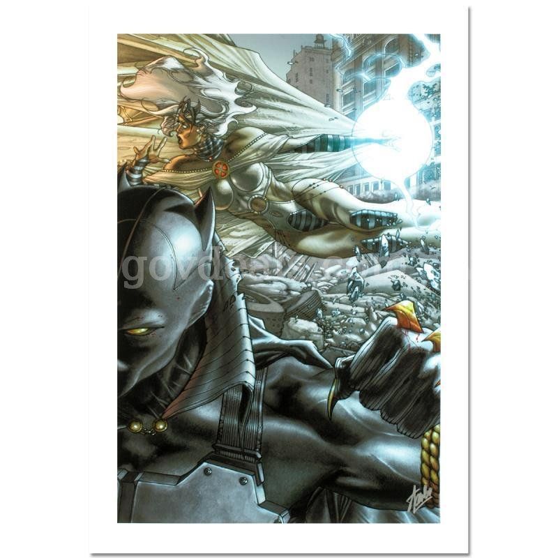 Stan Lee Signed, "Black Panther The Man Without Fear #520" Limited Edition Fine Art