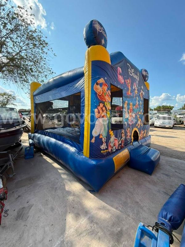 NinjaJump Disney Themed Bounce House