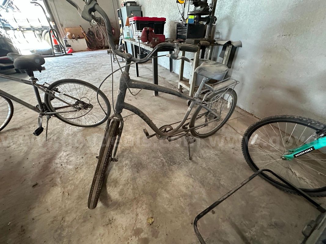 A Trek Pedal Bike