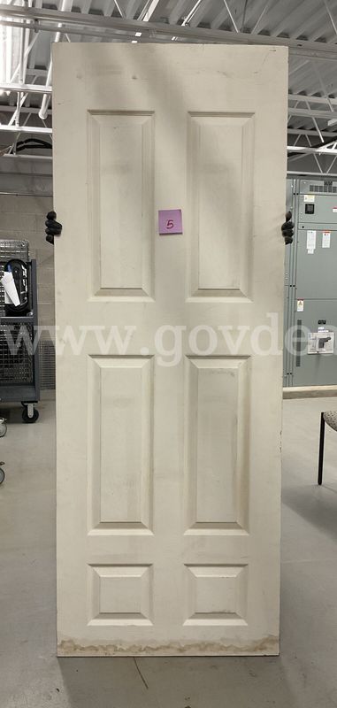 Standard White 6-Panel Interior Door Slab 30x80