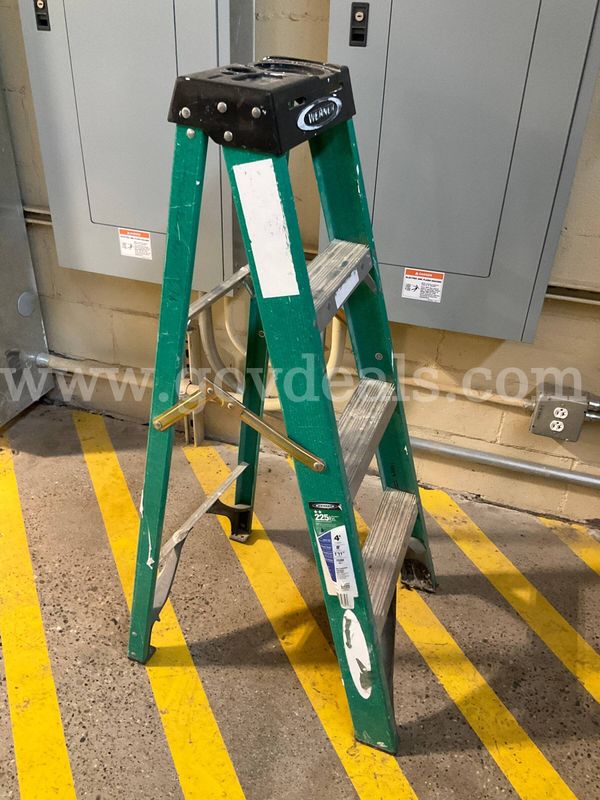 Werner 4’ Fiberglass Stepladder (FS204, 225 lb Duty Rating)