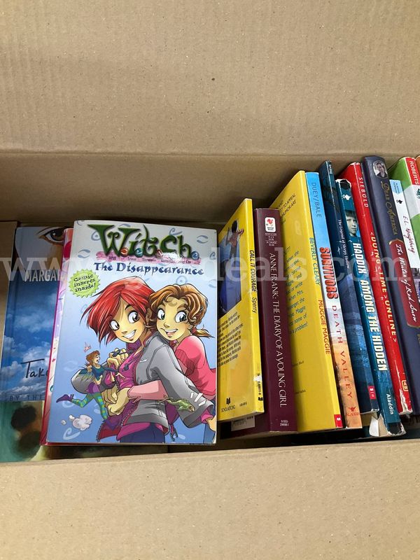 Bulk Children's & Young Adult Book Lot (30+ Books) – Classic Chapter Books, Graphic Novels & Series
