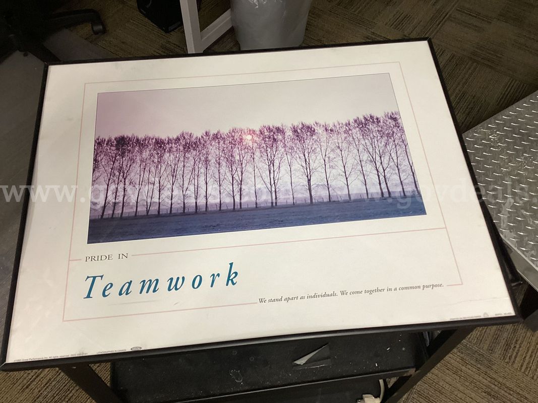 Vintage Framed Office Poster – "Pride in Teamwork" Trees Landscape 24x18