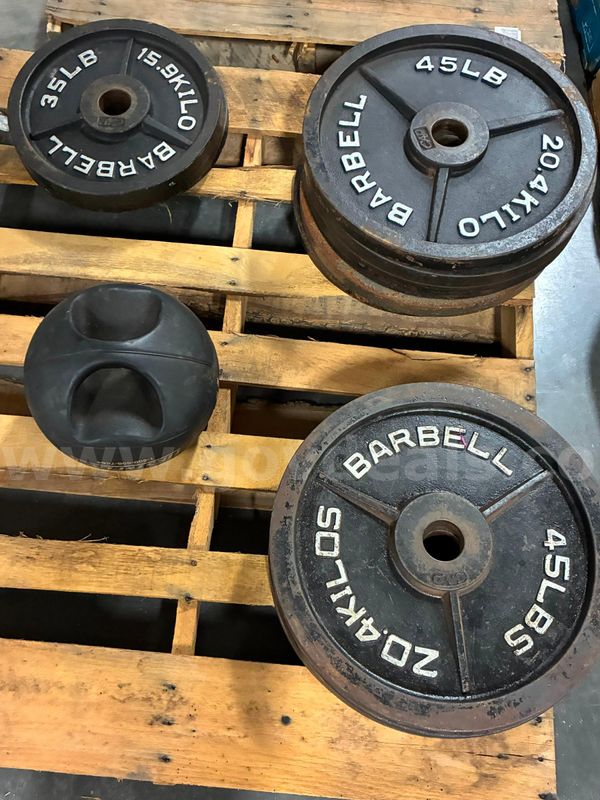 Weight Plates with Core Ball