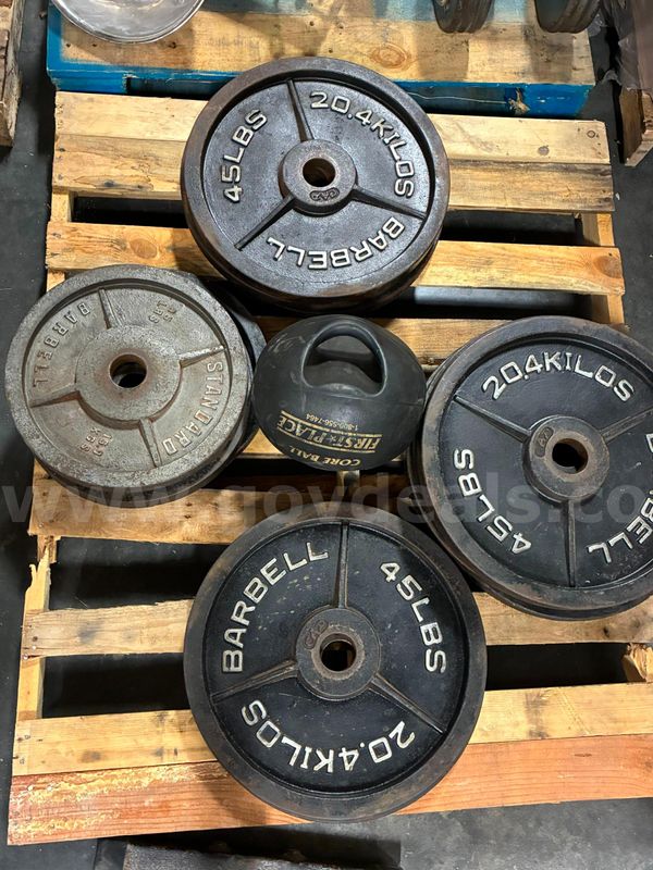 Weight Plates with Core Ball