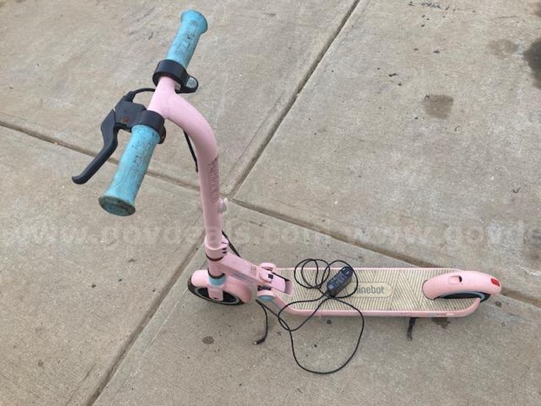 Ninebot segway kids electric scooter