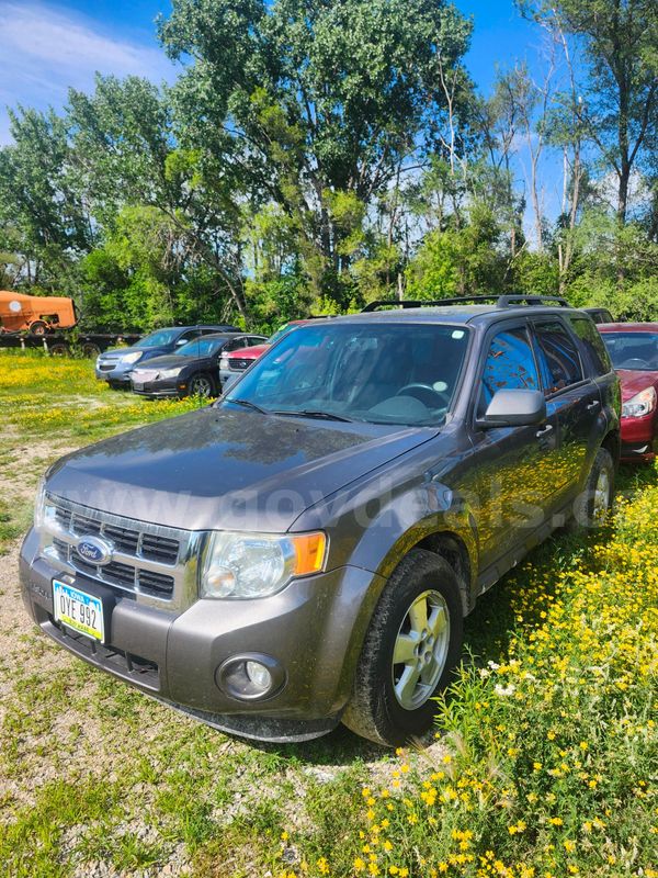 2010 Ford Escape