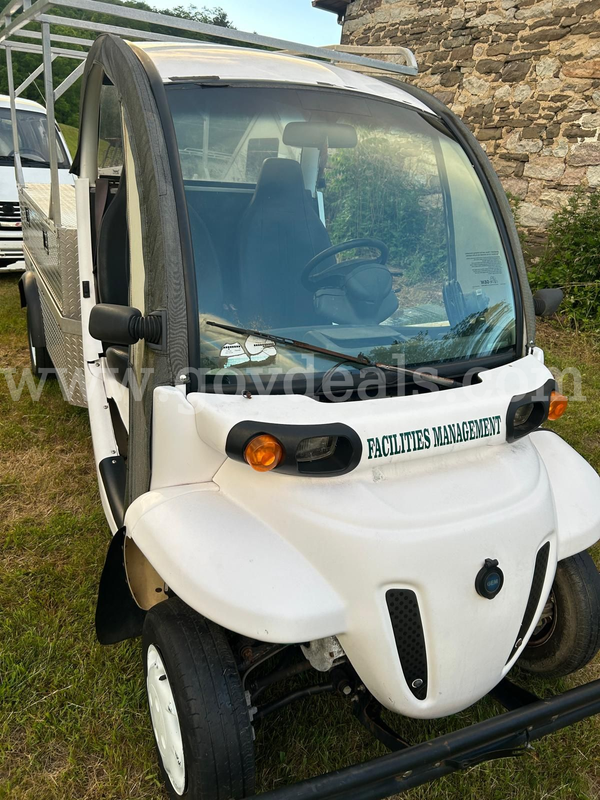 2014 GEM ES Electric Golf Cart