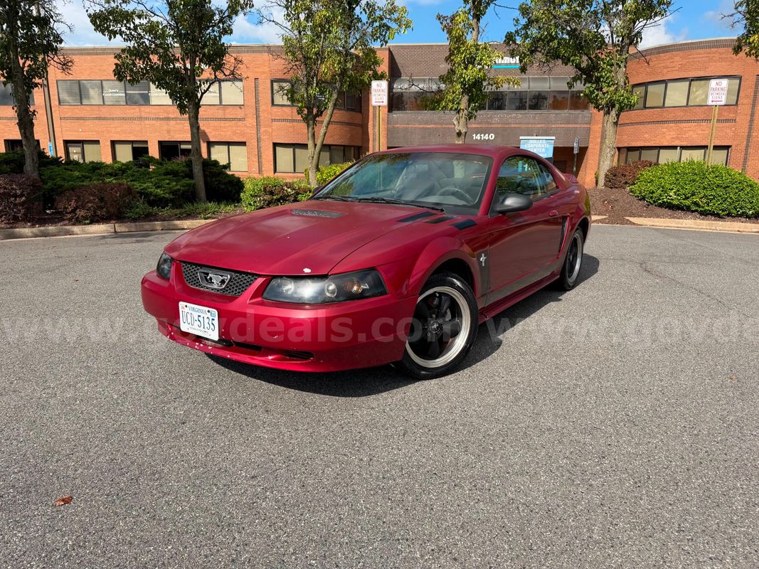 2000 Ford Mustang 5 Speed Manual